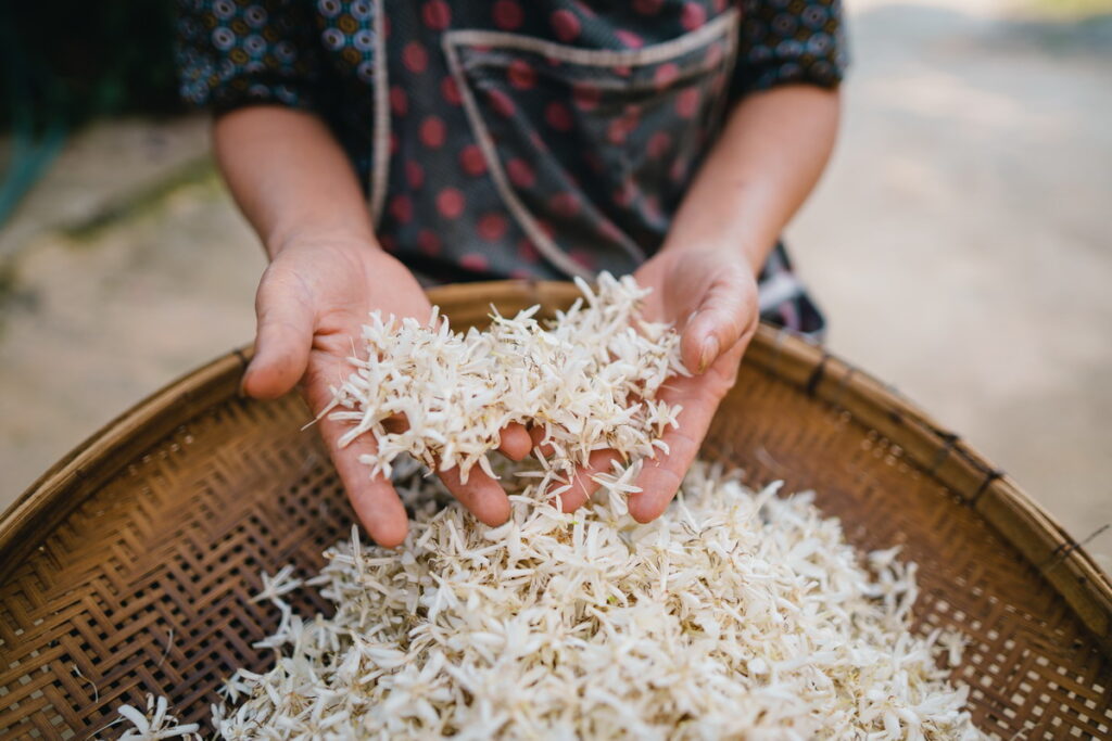 Riso jasmine: l’aroma della cucina thai e come cucinarlo al meglio