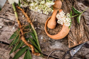 Come cucinare le erbe spontanee in cucina tradizionale