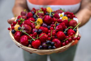 Frutti di bosco estivi: piccoli tesori di salute