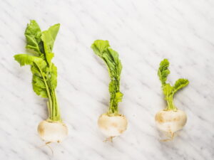 Sedano rapa: proprietà, benefici e usi in cucina